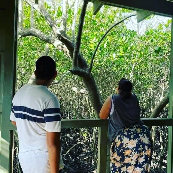 Two people taking in the view from a mangrove boardwalk lookout